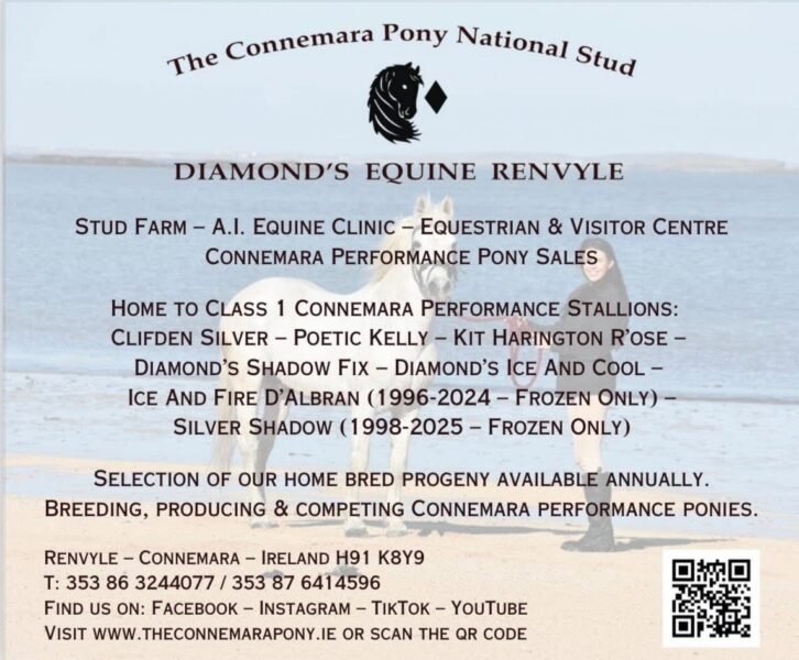 Diamond's Ice, Wind and Rain