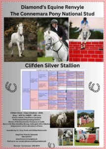 Clifden Silver