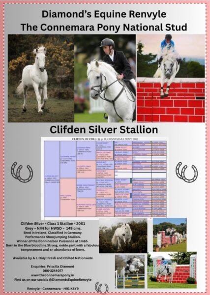 Clifden Silver