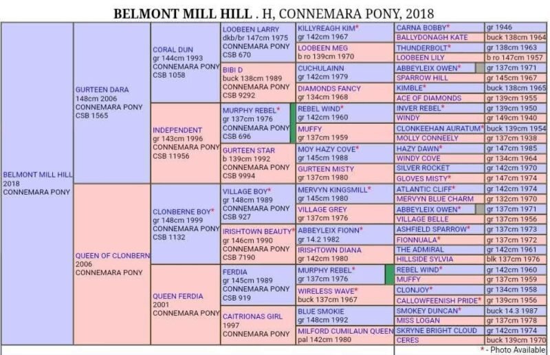 Belmont Mill Hill