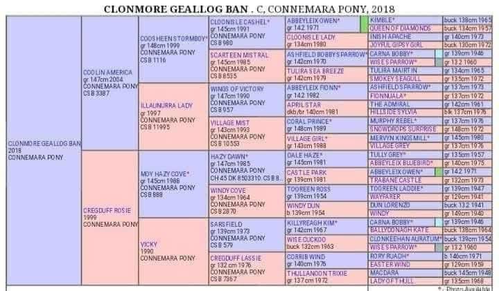 Clonmore Geallog Ban