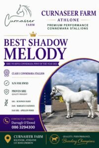 Best Shadow Melody