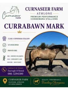 Currabawn Mark