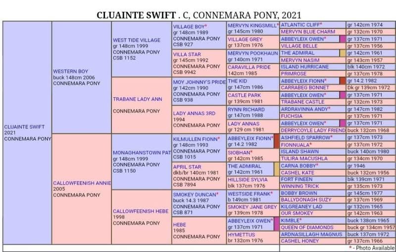 Cluainte Swift