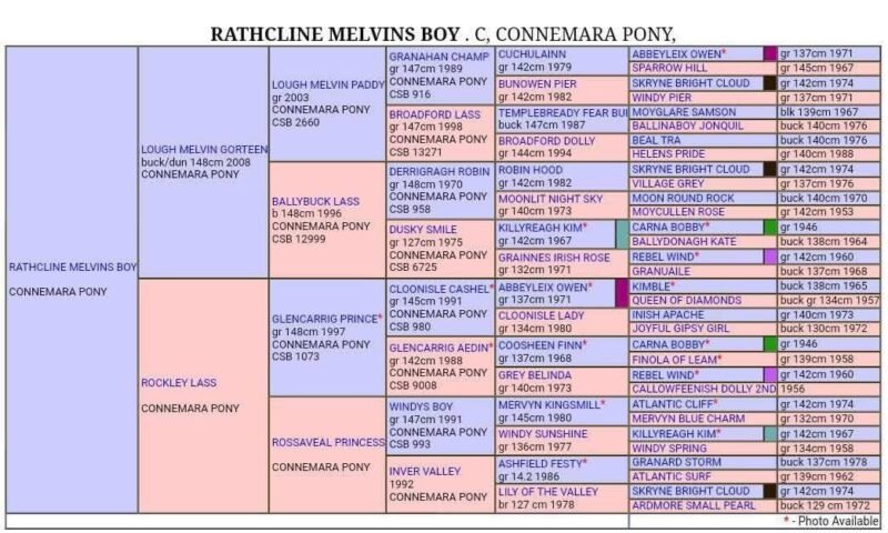 Rathcline Melvins Boy
