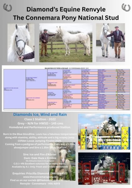 Diamond's Ice, Wind and Rain