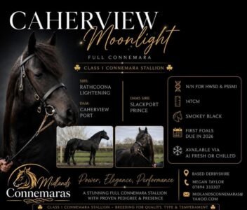 Caherview Moonlight