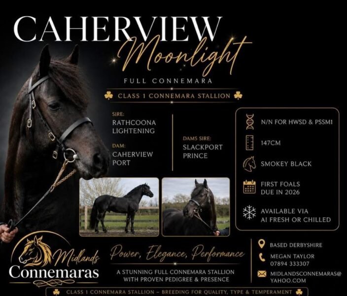 Caherview Moonlight