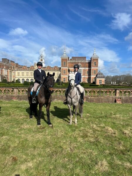 15.2hh Bay Connemara Pony