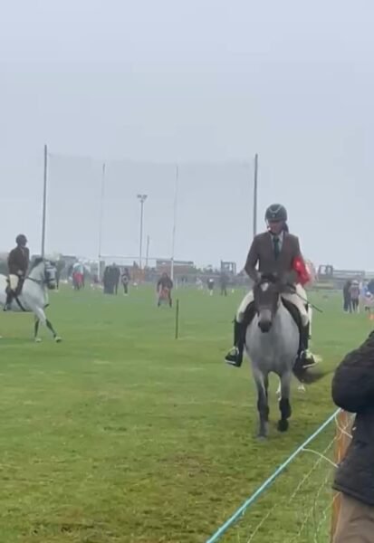 Beechmount Freya - Roan Connemara 4yr old