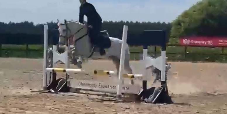 Breeze - 14.2hh 4 year old Mare