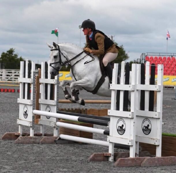 Hope - 6yr old mare