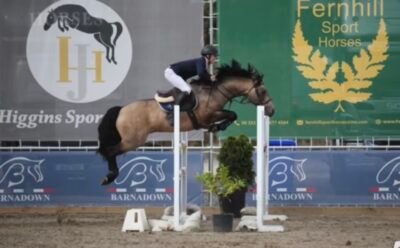 Springfield Oliver at Stud