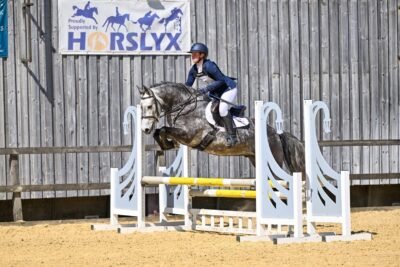 Brian - 5 yr old Connemara Gelding