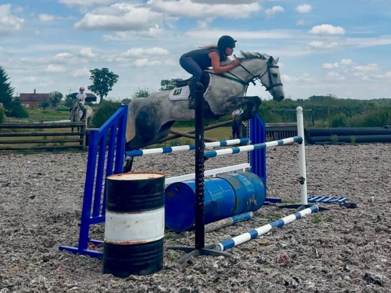 Future FEI Event Pony