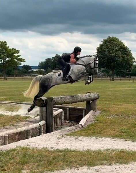 Future FEI Event Pony