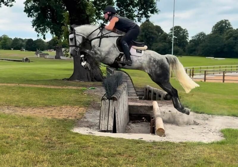 Future FEI Event Pony