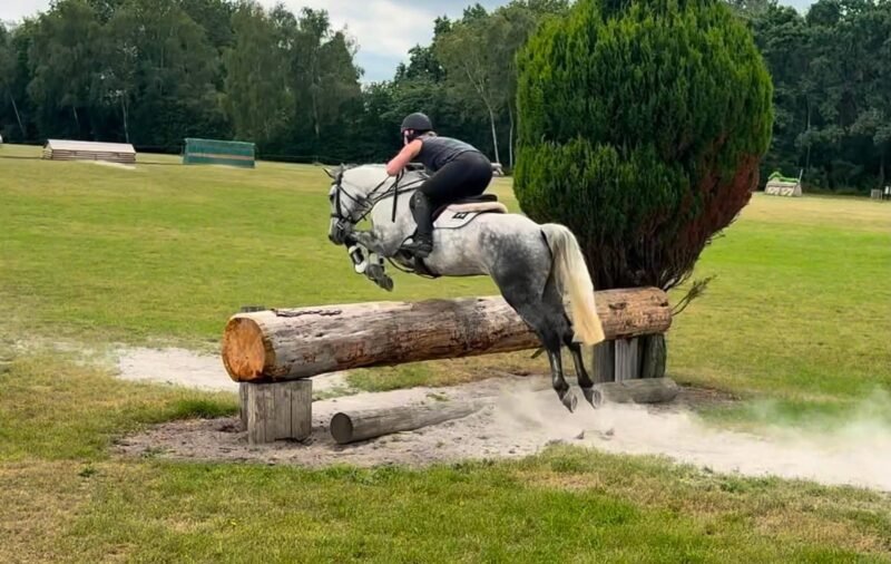 Future FEI Event Pony