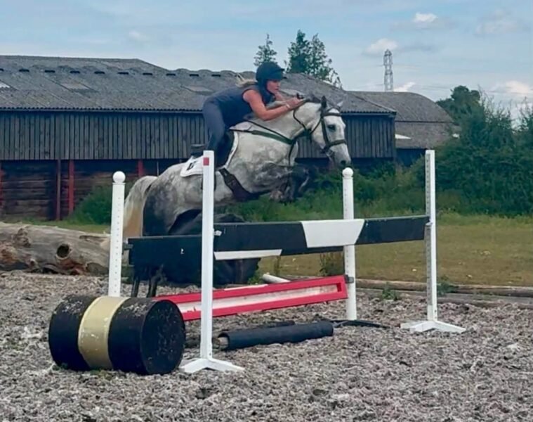 Future FEI Event Pony