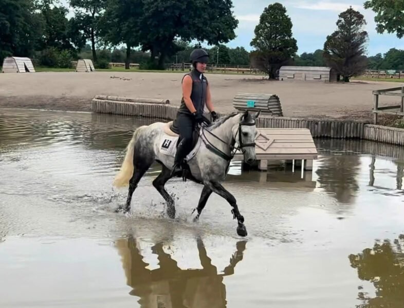 Future FEI Event Pony