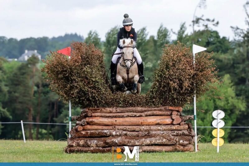 Sold - Stunning 148cm FEI Event Pony