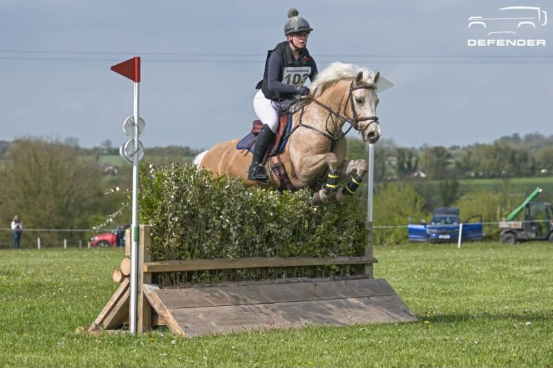 Sold - Stunning 148cm FEI Event Pony