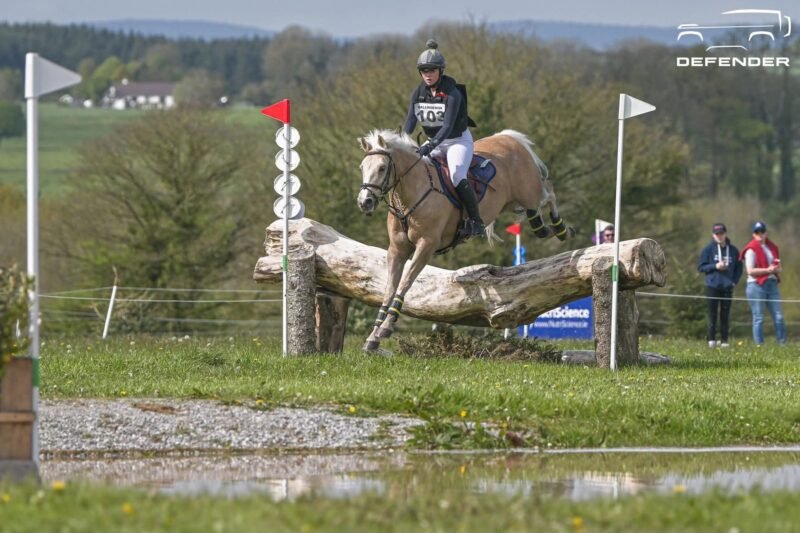 Sold - Stunning 148cm FEI Event Pony