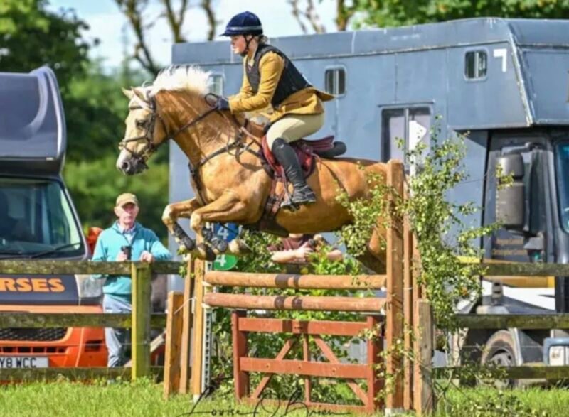 Sold - Stunning 148cm FEI Event Pony