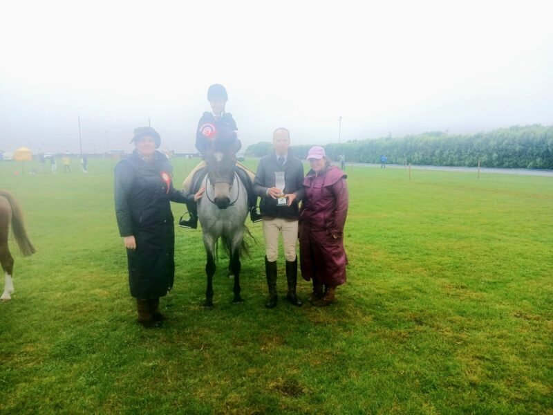 Beechmount Freya - Roan Connemara 4yr old