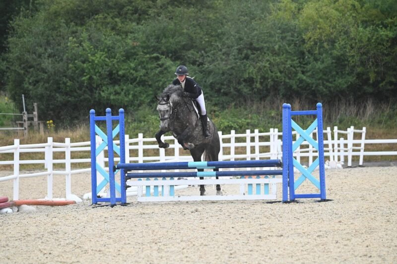 Versace - 15.2hh Connemara Gelding