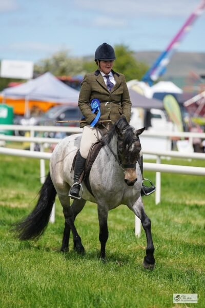 Beechmount Freya - Roan Connemara 4yr old
