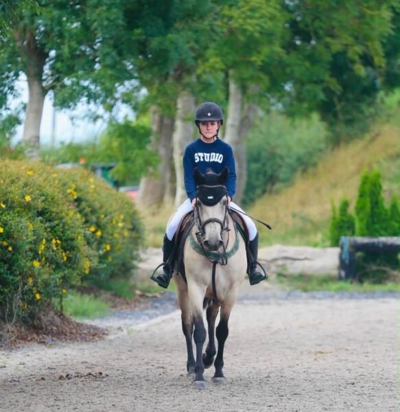 River - Class one 4 yr old Mare