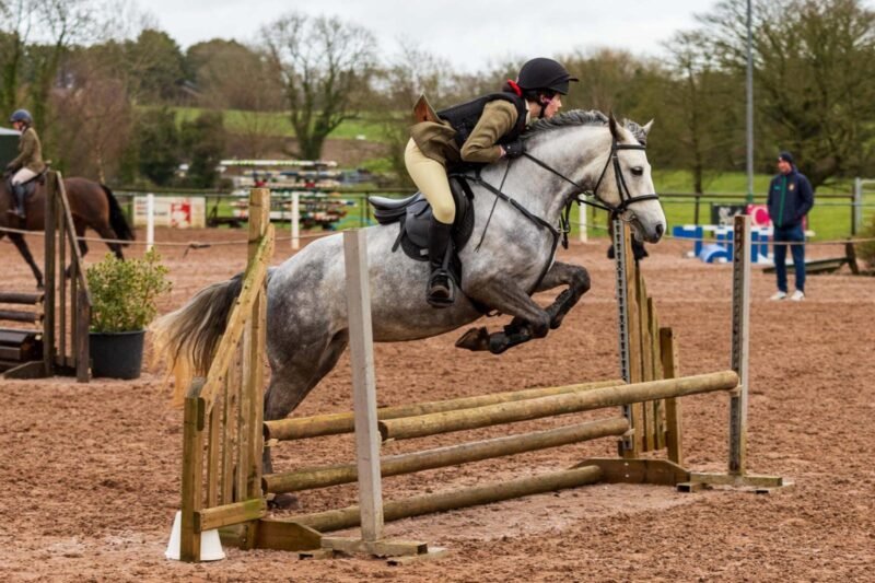 I Love You Melody 148cm 5-Year-Old Mare