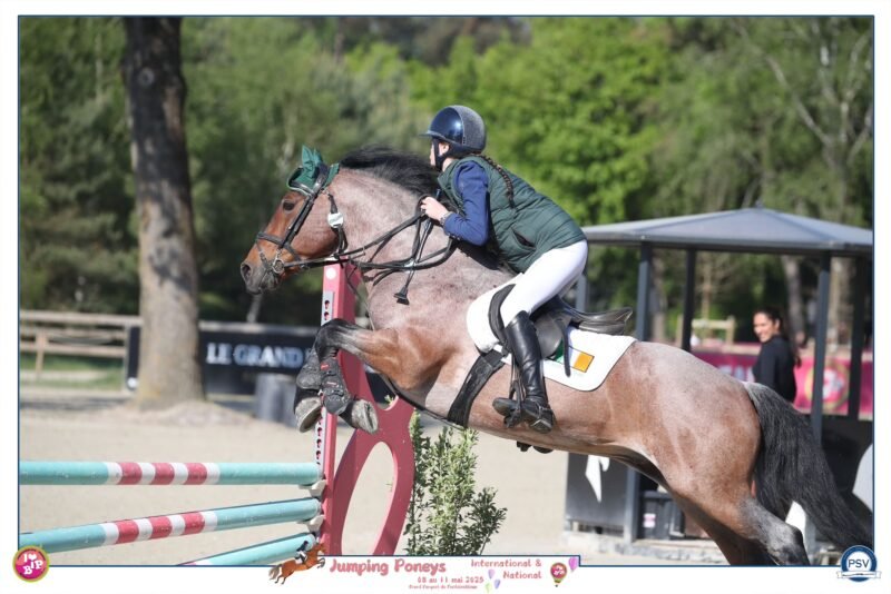 Brock Blizzard – 148cm Class 1 Stallion