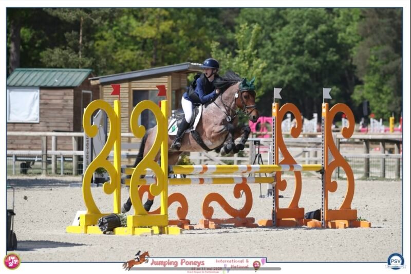 Brock Blizzard – 148cm Class 1 Stallion