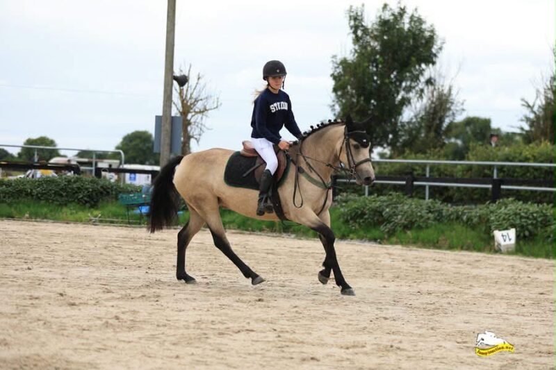 River - Class one 4 yr old Mare