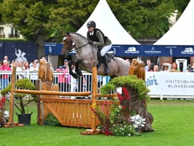 Brock Blizzard – 148cm Class 1 Stallion