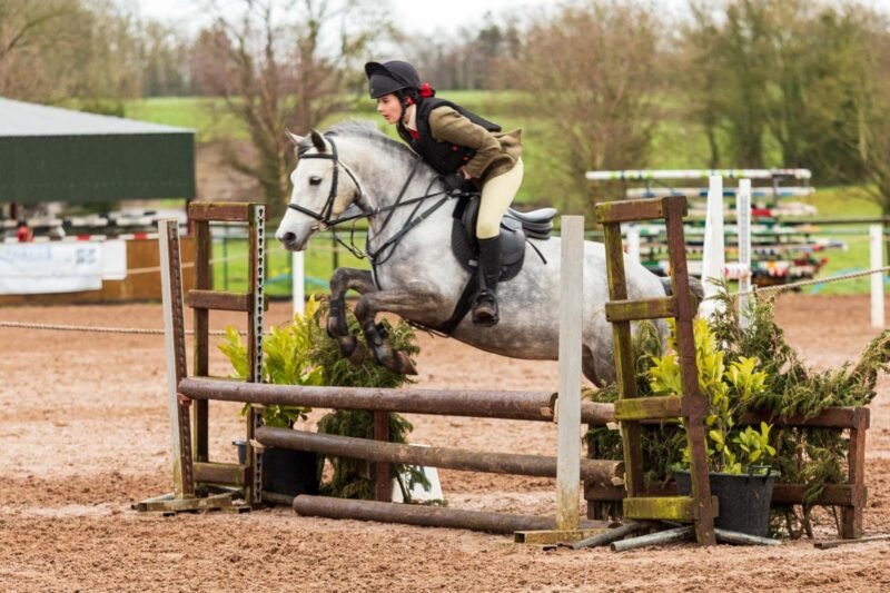 I Love You Melody 148cm 5-Year-Old Mare