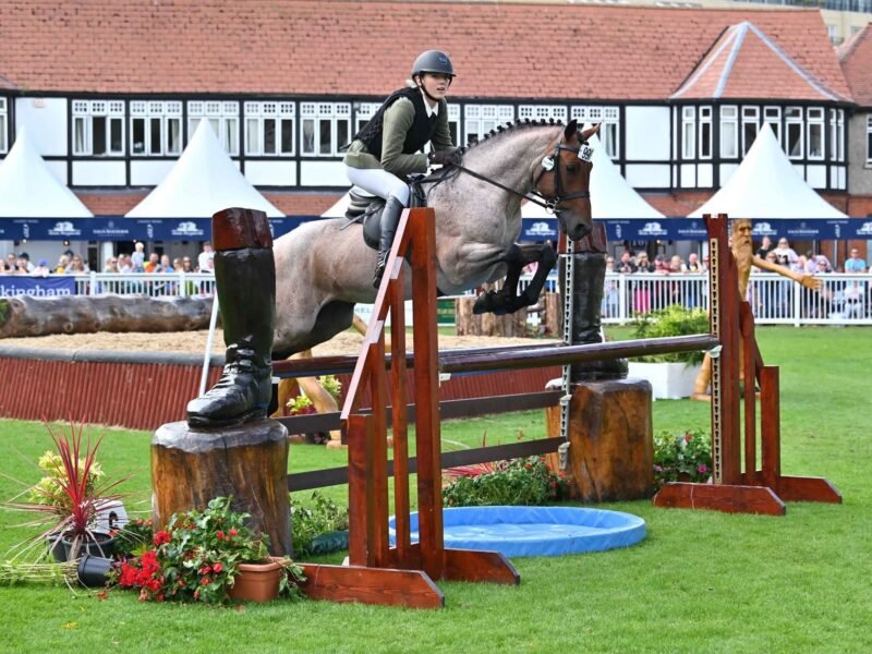 Brock Blizzard – 148cm Class 1 Stallion