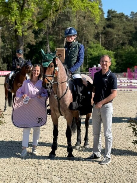 Brock Blizzard – 148cm Class 1 Stallion