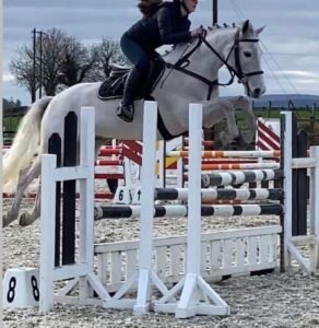 Smashing 148cm Gelding