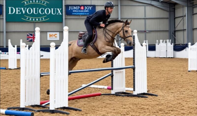 JJ – Overheight 5yo Connemara Gelding