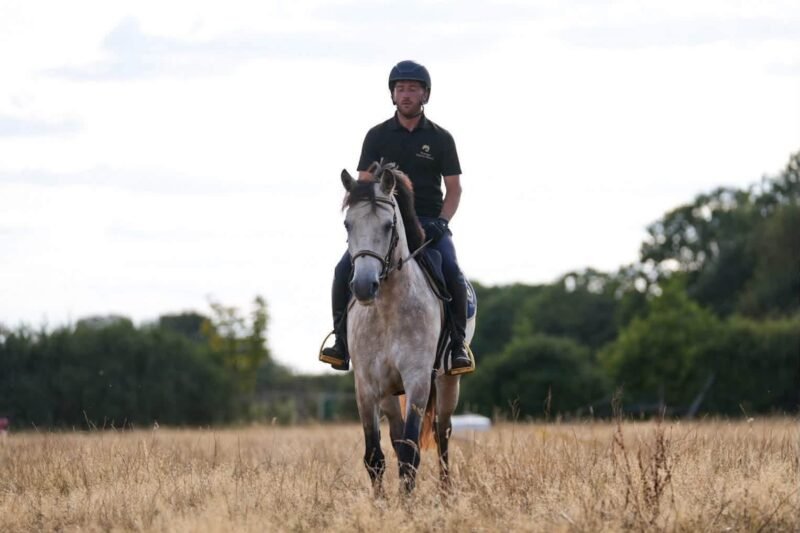 Bruno Mars – 14.2hh 4yo Connemara Gelding