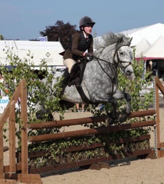 Brackly Amigo – 14hh PC Allrounder
