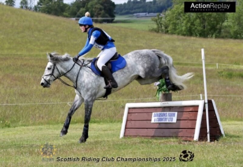 Brackly Amigo – 14hh PC Allrounder