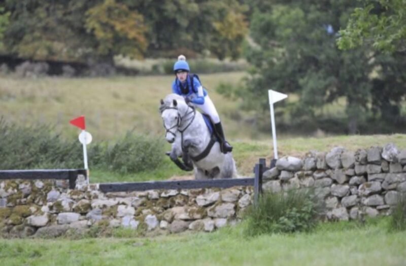 Brackly Amigo – 14hh PC Allrounder