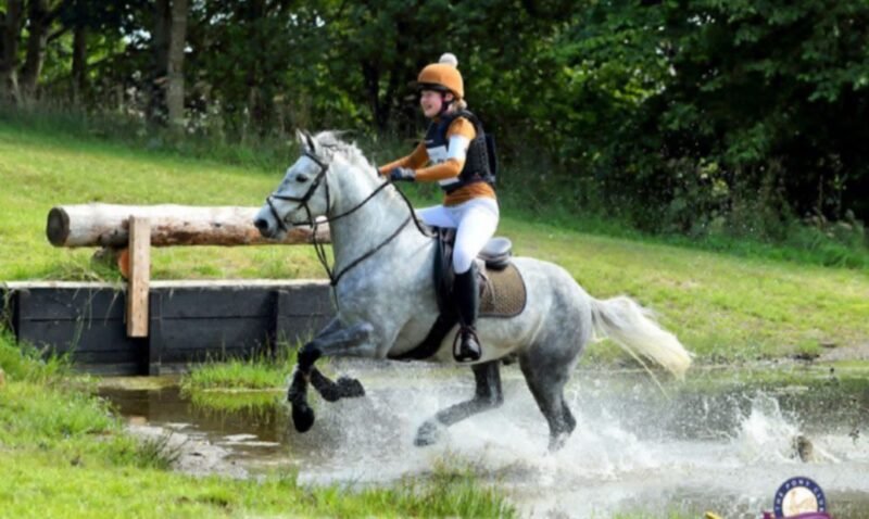 Brackly Amigo – 14hh PC Allrounder