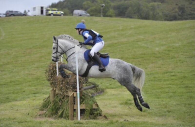 Brackly Amigo – 14hh PC Allrounder
