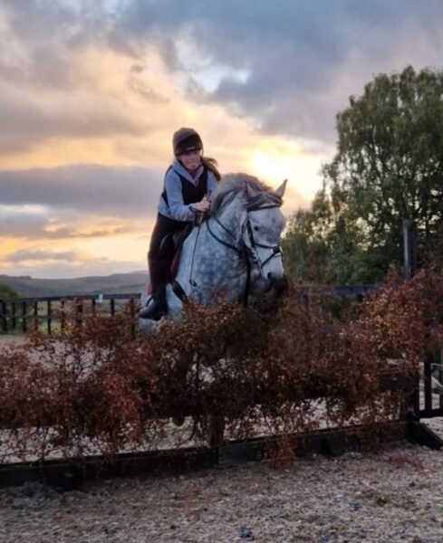 Brackly Amigo – 14hh PC Allrounder