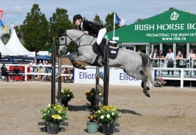 April Shadow – 148cm SJI Connemara Gelding